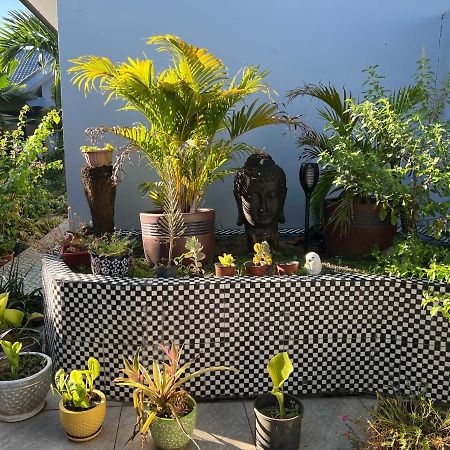 Pasifika Guesthouse Νάντι Εξωτερικό φωτογραφία