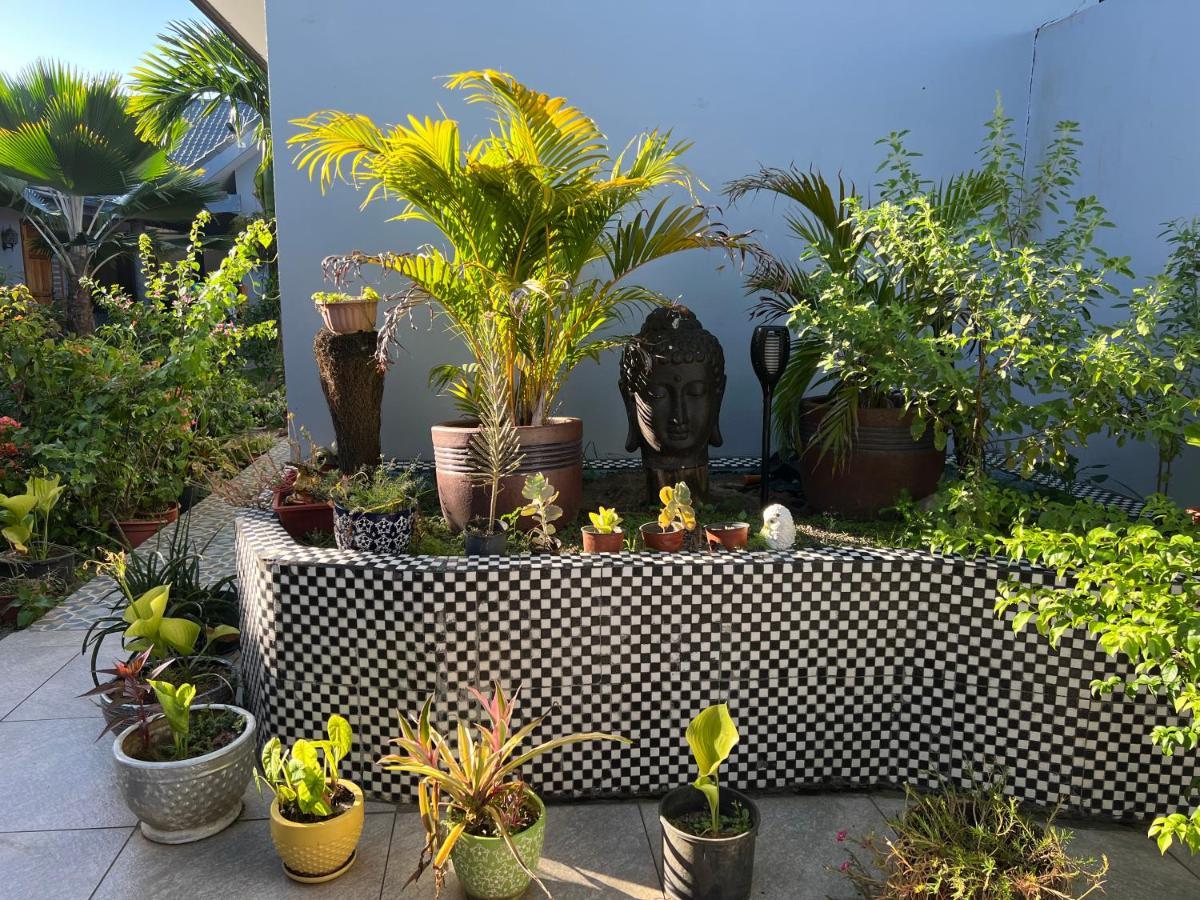 Pasifika Guesthouse Νάντι Εξωτερικό φωτογραφία